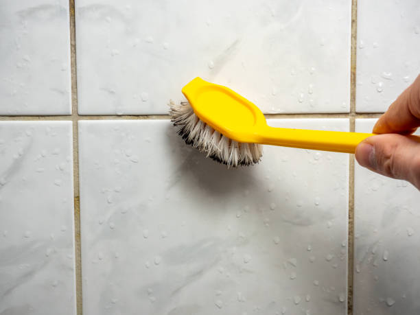 Best Certified Mold Removal  in Dunean, SC